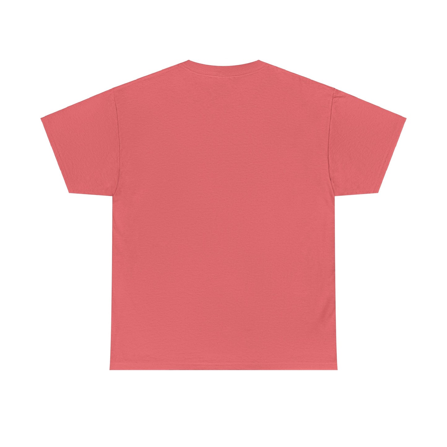 Second  Grade - Unisex Heavy Cotton Tee