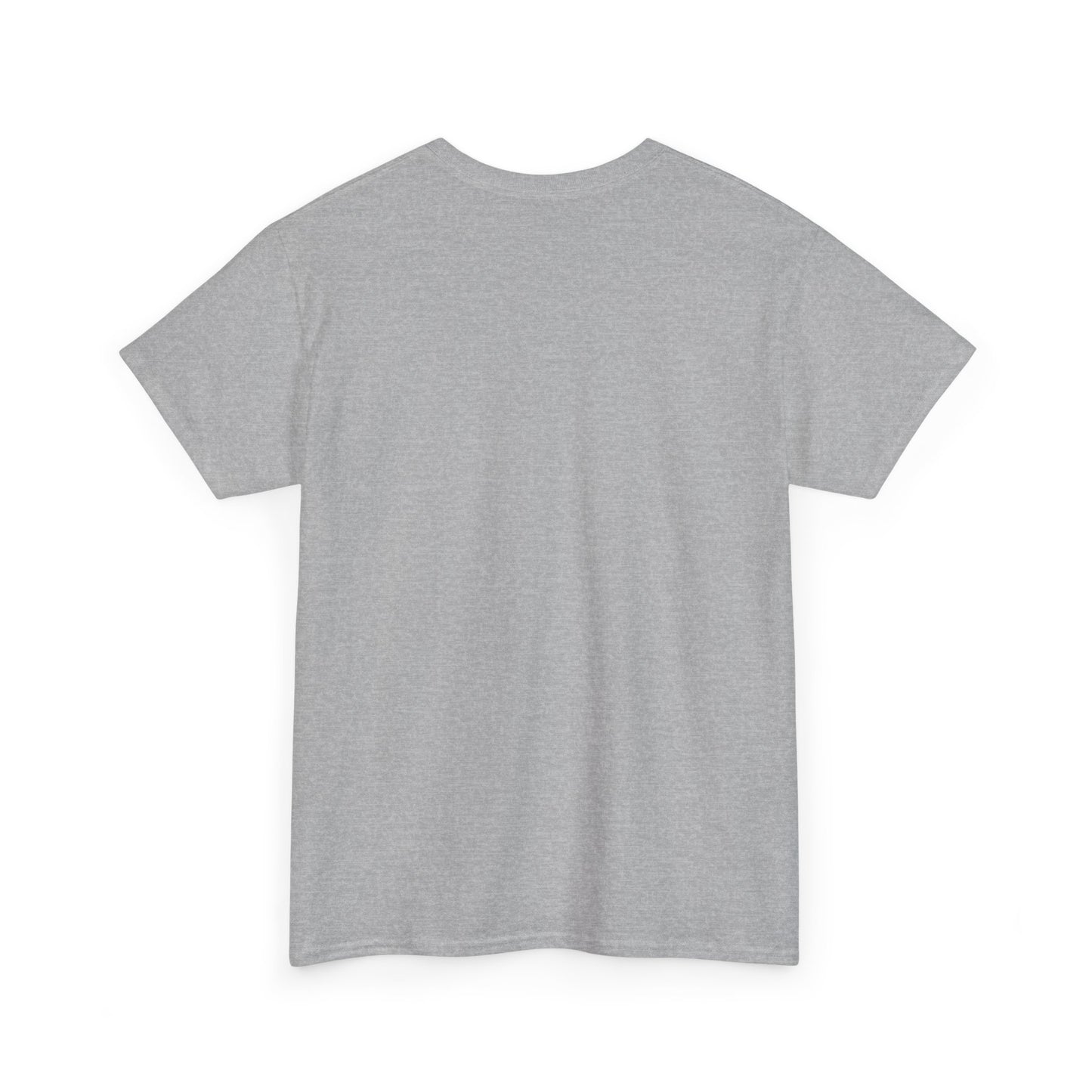 Second  Grade - Unisex Heavy Cotton Tee