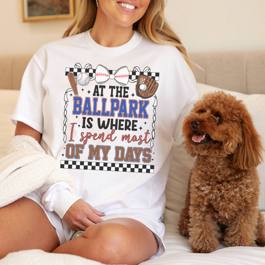 At The Ballpark - Unisex Softstyle T-Shirt